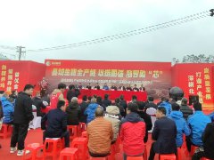 防城港市园丰集团种猪场竣工仪式活动